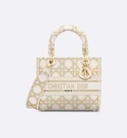 Christian Dior Lady D Lite Embroidered Bag at Dior