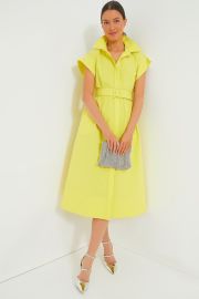 Citron Chloe Dress Tuckernuck at Tuckernuck