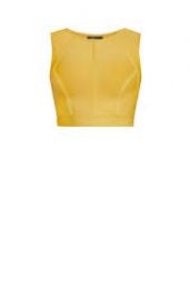 Citron Fenella Top at Bcbgmaxazria