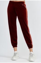 Classic Velvet Sweatpant by Aviator Nation at Bandier