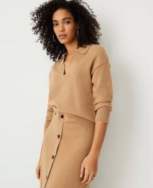 Collared V-Neck Sweater at Ann Taylor