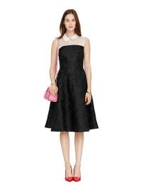 Collared fit and flare dress at Kate Spade