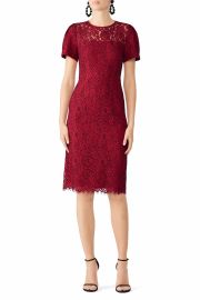 Collection Lace Sheath by Draper James for 30 - 56 Rent the Runway at Rent the Runway