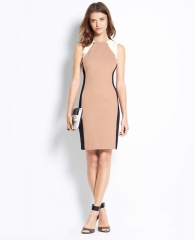 Colorblock Sheath at Ann Taylor