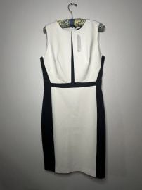 Colorblock Sheath Dress at eBay