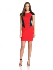 Colorblock dress by Cynthia Steffe at Amazon