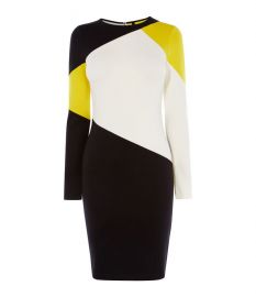 Colourblock Panelled Dress at Karen Millen