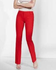 Columnist Pants at Express