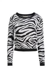 Connie Crystal Zebra Pullover at Orchard Mile