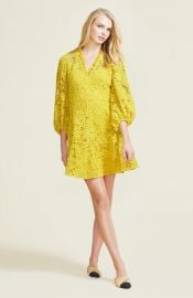 Corded Lace Full Sleeve Dress at Pearl