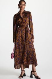 Cos Belted Printed Midi Dress at Nordstrom