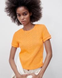 Crochet Short Sleeve Top at Zara