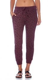 Current Elliott The Slim Vintage Sweatpant in Garnet Leopard from Revolve com at Revolve