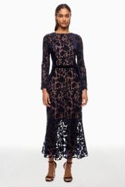 Cutwork Velvet ampamp Tulle Midi Dress by Marchesa Notte Rent the Runway at Rent the Runway