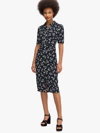 Dandelion Shirtdress at Kate Spade