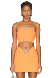 David Koma Crystal Plexi Chest Cropped Top at FWRD