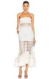 David Koma Plexi Triangle Strapless Flounce Dress at FWRD