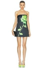 David Koma Rose Flower Print Shirt Dress in Black Green FWRD at FWRD