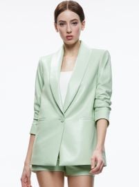 Denny Vegan Leather Shawl Collar Blazer In Pistachio Alice And Olivia at Alice + Olivia