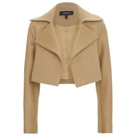 Derek Lam Luxe Cropped Camel Jacket For Sale at 1stDibs at 1st Dibs