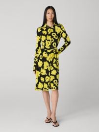 Diane Shirt Dress Diane von Furstenberg at Diane von Furstenberg