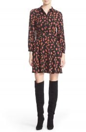 Diane von Furstenberg  Chrissie  Print Stretch Silk Fit   Flare Dress at Nordstrom