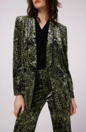 Diane von Furstenberg Chiana Paisley Velvet Jacket at Nordstrom