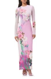Didi Long Sleeve Mesh Maxi Dress at Nordstrom