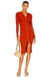 Dion Lee Merino Cardigan Dress in Rust  FWRD at Forward