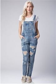 Distressed Denim Overalls by Honey Punch at Shoptiques