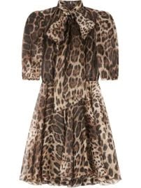 Dolce   Gabbana leopard-print Pussybow Dress - Farfetch at Farfetch