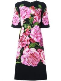 Dolce  amp  Gabbana Rose Print Cady Dress at Farfetch