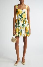 Dolce&Gabbana Rose Print Corset Bodice Minidress at Nordstrom