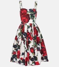 Dolce Gabbana Floral Cotton Poplin Dress at Mytheresa