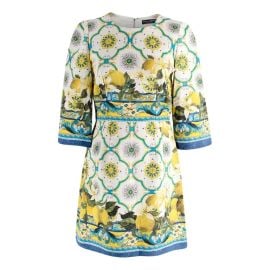 Dolce Gabbana Lemon Majolica Print Jacquard Dress at Vestiaire Collective