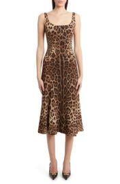 Dolce Gabbana Leopard Print Cady Fit Flare Dress at Nordstrom