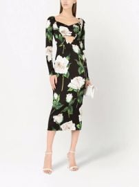 Dolce Gabbana Rose Print Cut Out Midi Dress at Farfetch