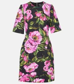Dolce and Gabbana Floral cotton jacquard minidress at Mytheresa