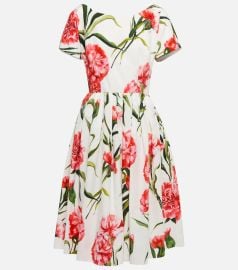 DolceampGabbana - Floral A-line cotton midi dress at Mytheresa