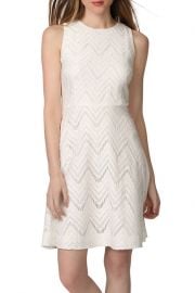 Donna Morgan Chevron Lace Fit and Flare Dress at Nordstrom Rack