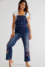 Driftwood Boyfriend Overalls at Free People