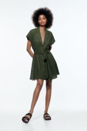 EMBROIDERED EYELET SHIRTDRESS - Green   United States at Zara