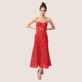 Eden Embroidered Dress at Allen Schwartz