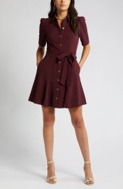 Eliza J Puff Sleeve Shirtdress in Wine at Nordstrom