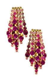 Elizabeth Cole Bette Earring at Revolve