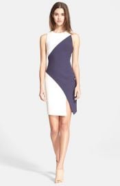 Elizabeth and James and39Kleinand39 Colorblock Stretch Knit Dress at Nordstrom