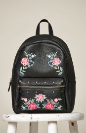 Embroidered Backpack at Pacsun