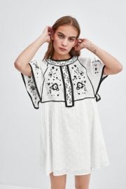 Embroidered Dress by Zara at Zara