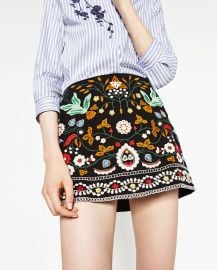 Embroidered Mini Skirt at Zara