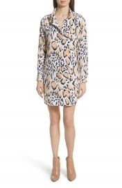 Equipment Freda Animal Print Silk Shirtdress at Nordstrom